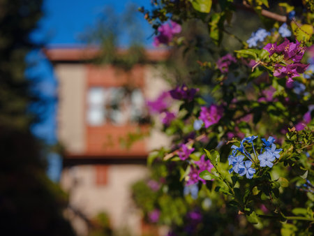travel to turkey, old town Kaleci. district street view, in Antalya. popualr resort city for tourists.の写真素材