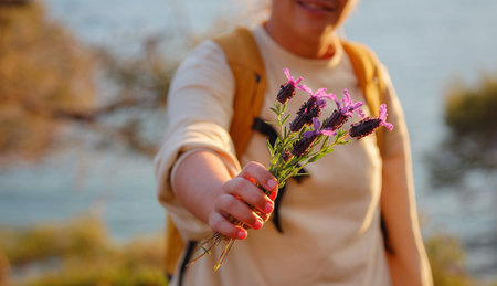 young caucasian woman collects a bouquet of broadleaf or French lavender , holds a wild flower bouquet in sunset light.. Flowers, grass meadow hill. Gathering wildflowers. Walking happy female.の写真素材
