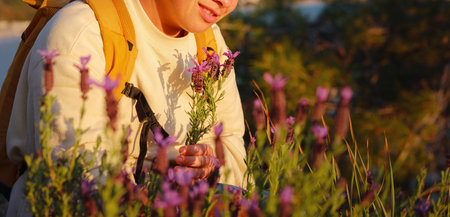 young caucasian woman collects a bouquet of broadleaf or French lavender , holds a wild flower bouquet in sunset light.. Flowers, grass meadow hill. Gathering wildflowers. Walking happy female.の写真素材