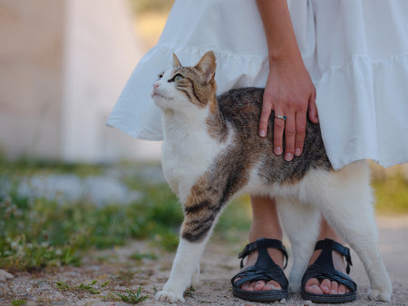 woman petting a cat outside. Stray or Feral Cat in Street city of Rhode in Greece. Historic Landmark in Old Town.の写真素材