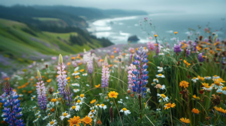 Wild flowers in the backdrop of the Oregon coast. Focus on plants. Bokeh.の素材