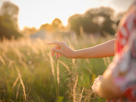 womans hand touching wheat ears, close-up of fingers holding grain, delicate hand in field of wheat, golden hour macro shot of wheat, sunlight on womans handの写真素材