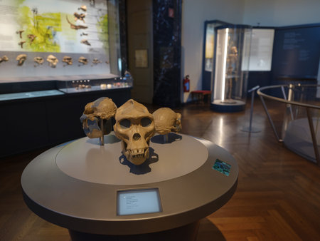 Vienna, Austria July 14 2023 Naturhistorisches Museum in Vienna, Interior view of Vienna Natural...