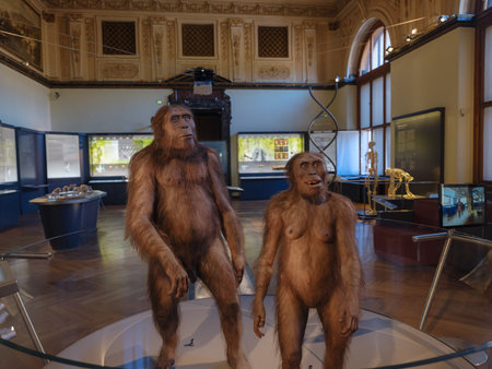 Vienna, Austria July 14 2023 Naturhistorisches Museum in Vienna, Interior view of Vienna Natural...