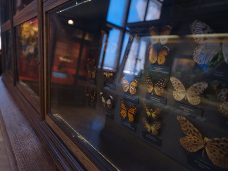 Vienna, Austria July 14 2023 Naturhistorisches Museum in Vienna, Interior view of Natural History Museum showing exhibitions and details. cultural heritage, educational space, museum atmosphereのeditorial素材