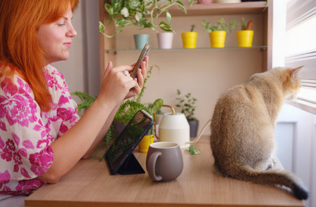 Beautiful short hair cat at home with woman. Adorable domestic pet concept. against a background of...