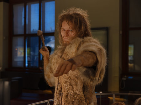 Vienna, Austria July 14 2023 Naturhistorisches Museum in Vienna, Interior view of Vienna Natural History Museum showing exhibitions and details. cultural heritage, educational space museum atmosphereのeditorial素材