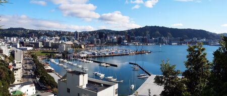 Wellingtonのeditorial素材