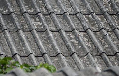 SELECTIVE FOCUS TO ZINC METAL ROOF TEXTURE BACKGROUND IN NATURE DAY LIGHTの写真素材