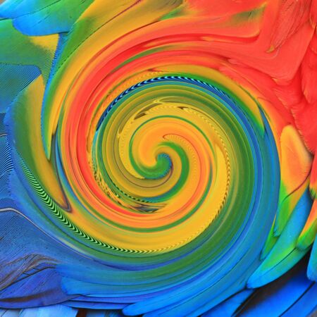 Abstract of wing bird color Background  beautifulの写真素材