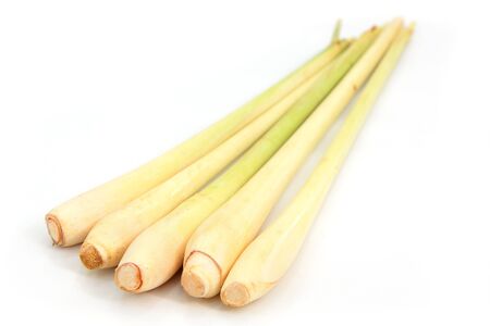Fresh Lemon Grass on white background の写真素材