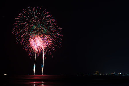 Colorful fireworks on black sky