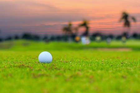 Close-up golf ball on grass in sunsetの写真素材
