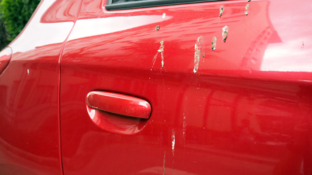 Bird feces on red car. Bird droppings on cars.の写真素材