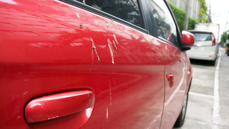 Bird feces on red car. Bird droppings on cars.の写真素材