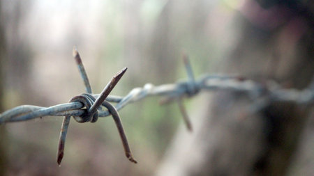 Barbed wire on fence to feel worrying. Barbed wire.