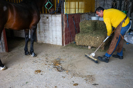 A person cleans the work area where he is shoeing his horseの写真素材