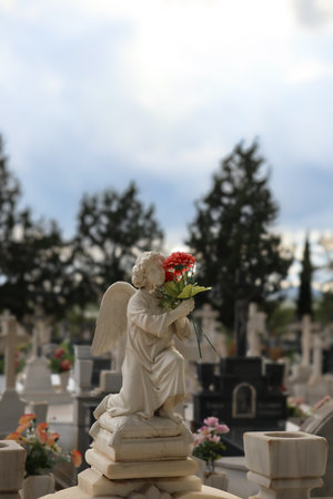 marble angel, with a rose in her hands, in a cemeteryの写真素材