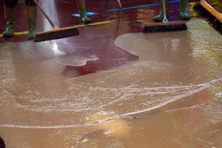 Several workers with brushes and pressurized water are cleaning areas affected by damage.の写真素材
