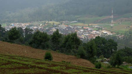 Indonesian A settlement in a hilly valley full of vegetable gardensの写真素材