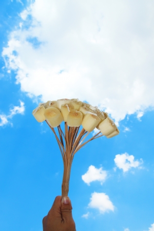 sugarcane pieces ready to be chewedの写真素材