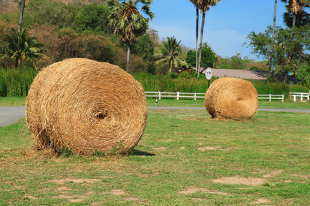 straw bale 
