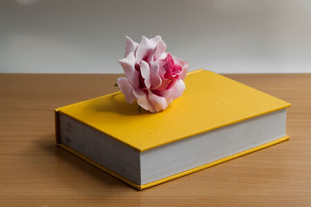 old book on tableの写真素材