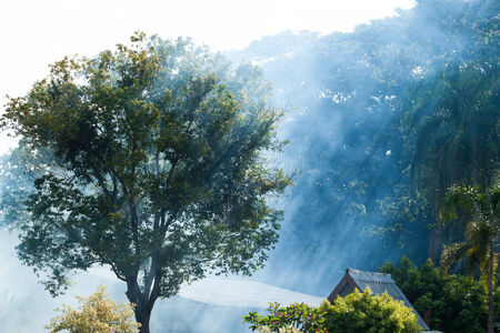 Sunlight falling on the path in autumn forest on a foggyの写真素材