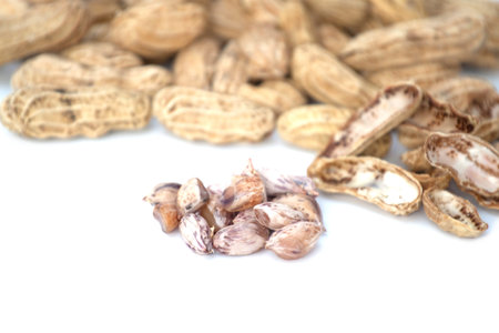 close-up of Boiled peanuts, snack