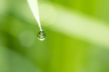 Water drops on the green nature backgroundの写真素材