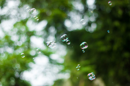Soap bubbles on green natural backgroundの写真素材