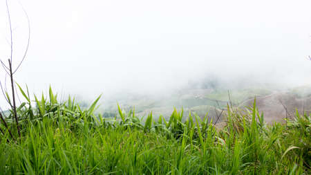 mountains view under mist in the morning, Phetchabun, Thailandの写真素材