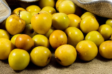 monkey apple fruit isolate on whiteの写真素材