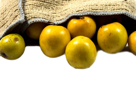 monkey apple fruit isolate on whiteの写真素材