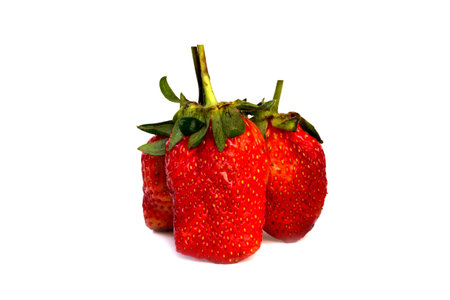 Three strawberry isolated on a white backgroundの写真素材