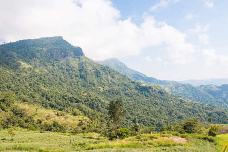 summer mountains green grass and blue sky landscapeの写真素材
