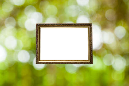 frame photo on green bokeh from treeの写真素材