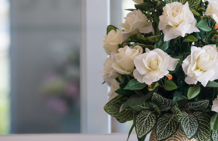 close up white rose with coppy spaceの写真素材