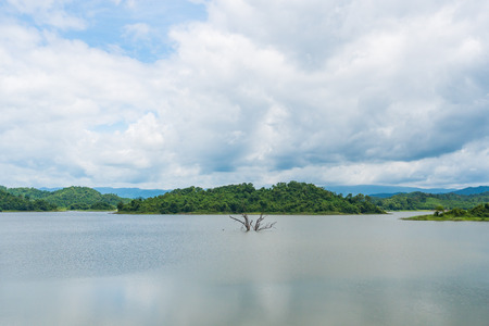 die tree and water in damの写真素材