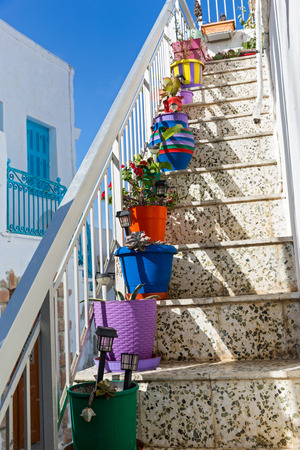 High ladder decorated with colourful flower potsの写真素材