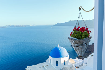 Flower in a pot on the background of the sea, the island of Santoriniの写真素材