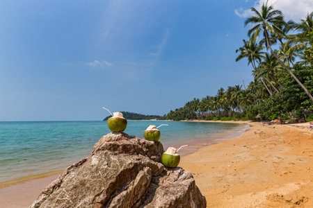 Three coconut juice on the stone seashore