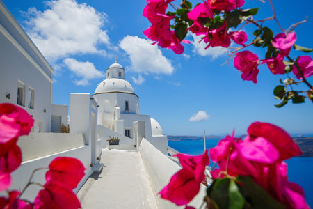 View of Santorini and flowers Bush bougainvilleaの写真素材