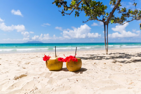 Two coconut cocktails on white sand beach next to clean sea blue water. Vacation and travel concept
