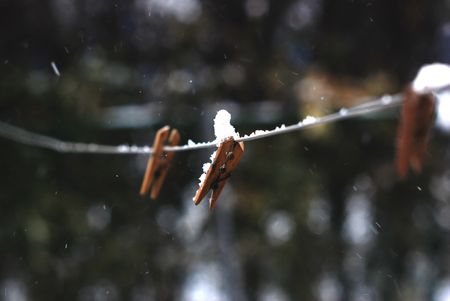 cramps in snowの写真素材