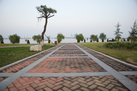Garden Walk on path  