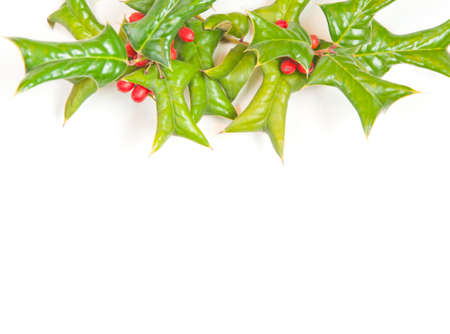 Christmas framework with holly berry isolated on white background     の写真素材