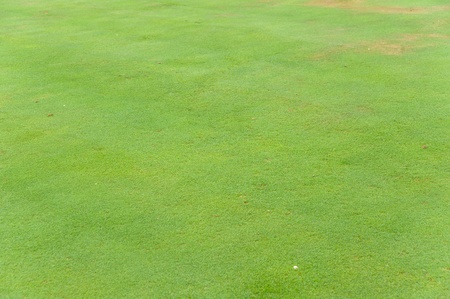 Green grass pattern from golf course の写真素材