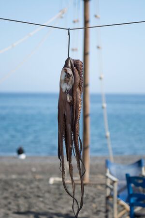 An octopus drying in the sun on the beach before being cooked Greek traditional way.の写真素材