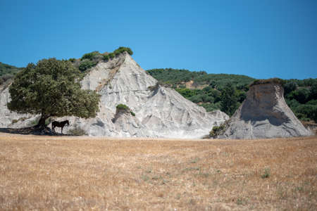 A horse in the shade of a tree next to a rocky hillの写真素材
